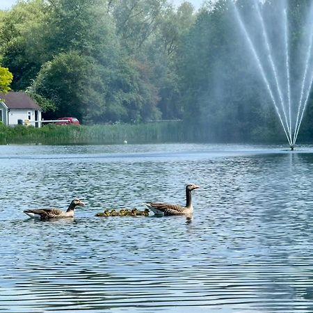 Luxury Kingfisher Lodge, Isis Lake, Within The Cotswold Waterpark Cirencester Extérieur photo