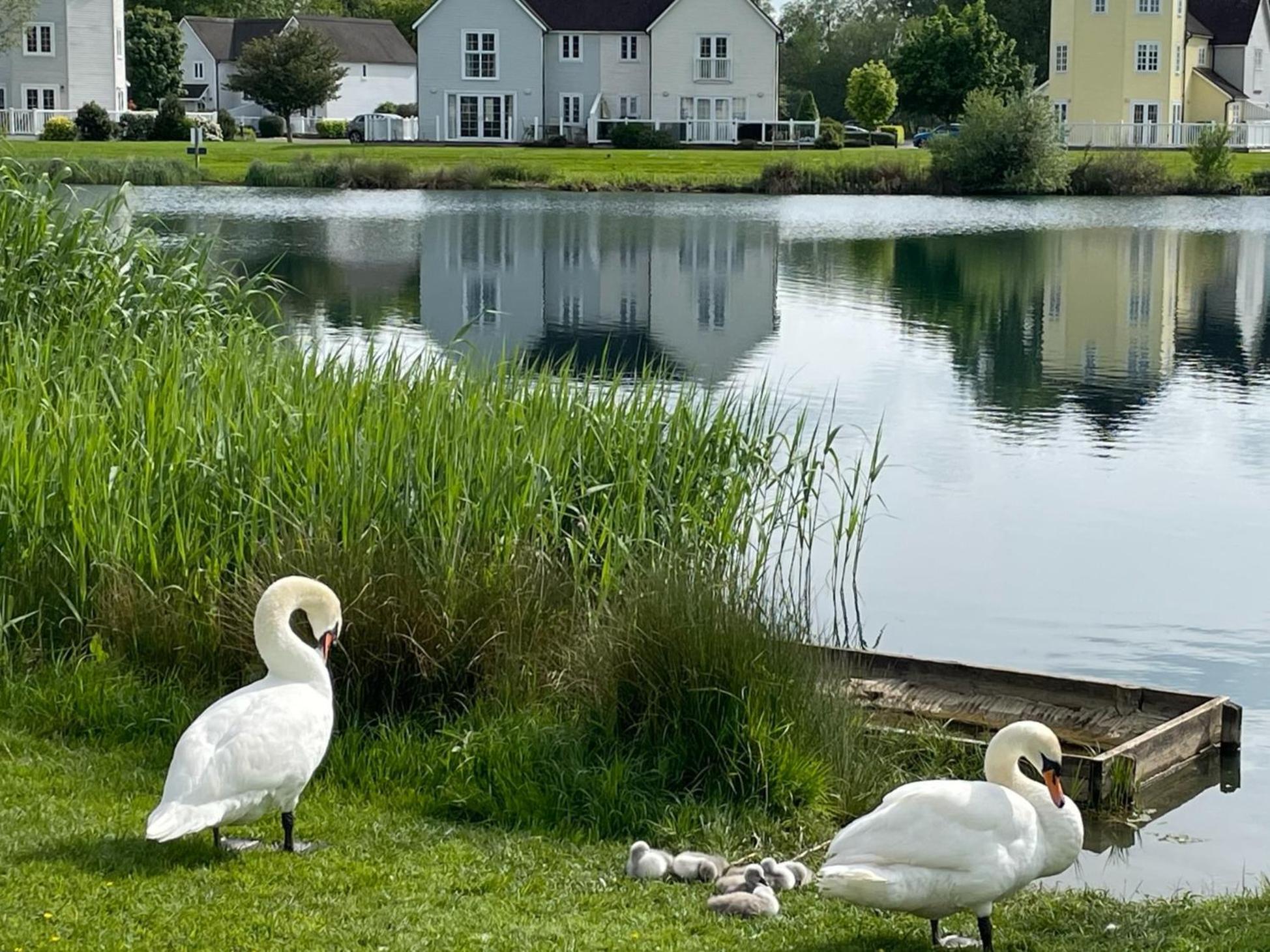 Luxury Kingfisher Lodge, Isis Lake, Within The Cotswold Waterpark Cirencester Extérieur photo