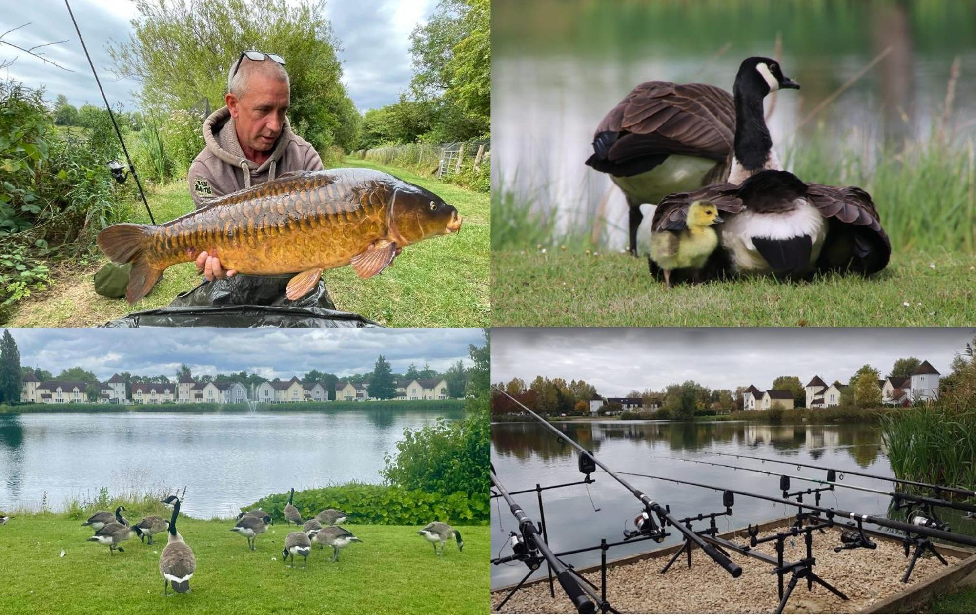 Luxury Kingfisher Lodge, Isis Lake, Within The Cotswold Waterpark Cirencester Extérieur photo