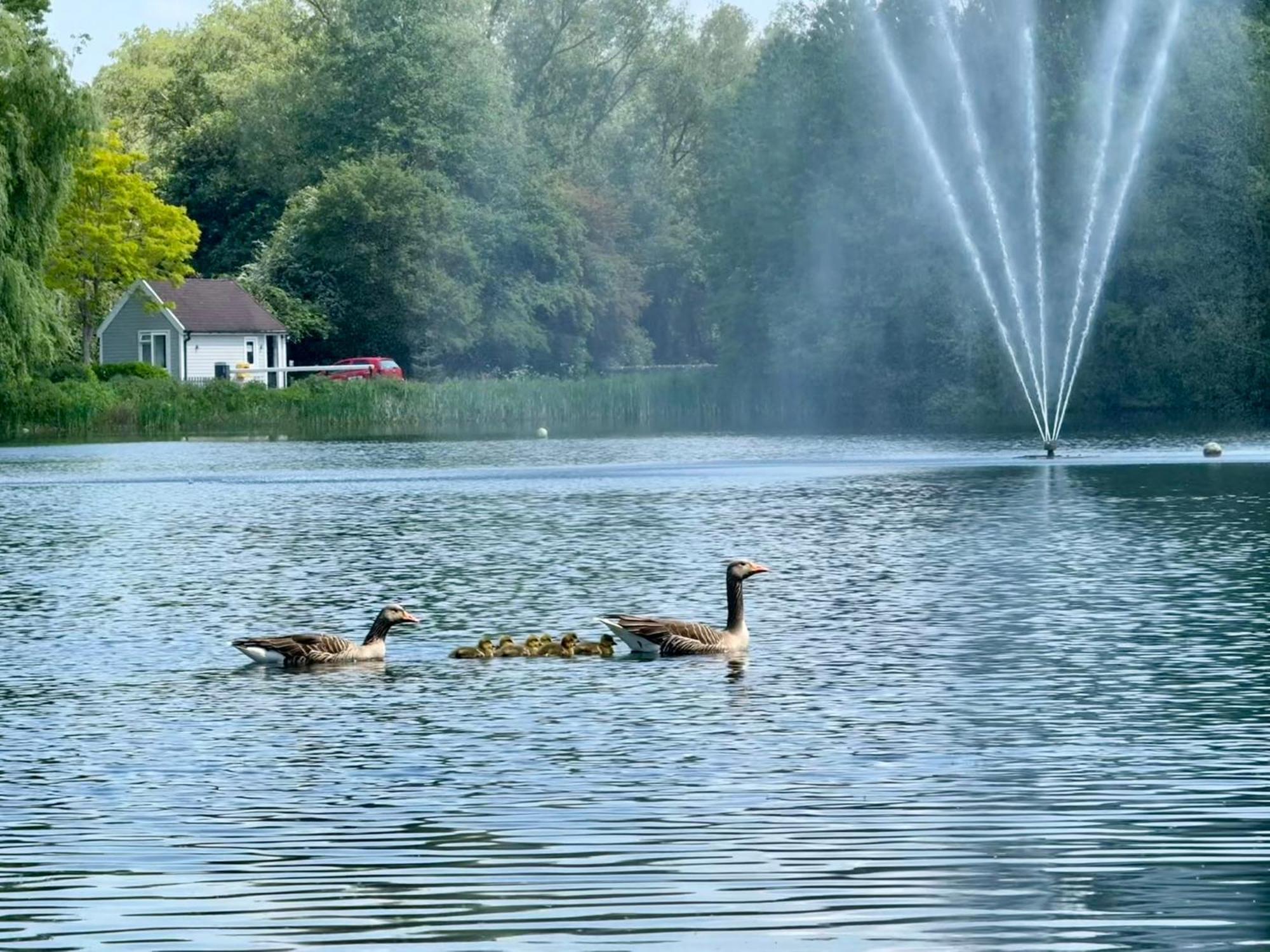 Luxury Kingfisher Lodge, Isis Lake, Within The Cotswold Waterpark Cirencester Extérieur photo